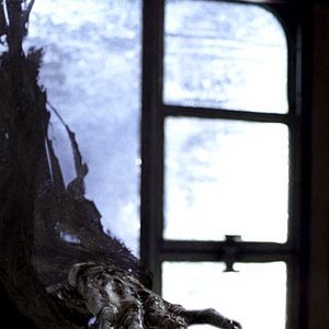 Foto Harry Potter y el prisionero de Azkaban