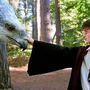 Foto Harry Potter y el prisionero de Azkaban