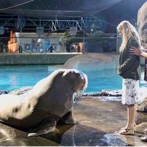 Foto Como si fuera la primera vez