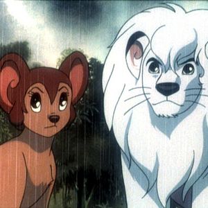 Foto Jungle Emperor Leo