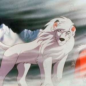 Foto Jungle Emperor Leo