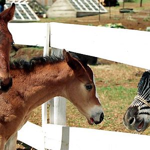 Foto Frederik Du Chau