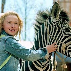 Foto Hayden Panettiere