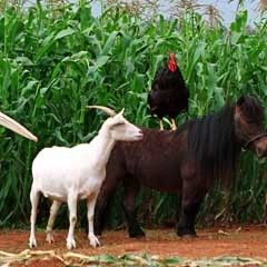 Foto Frederik Du Chau