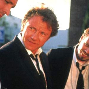 Foto Perros de reserva