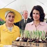 Foto Catherine Deneuve