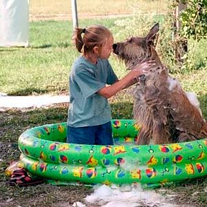 Foto AnnaSophia Robb