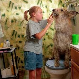 Foto AnnaSophia Robb