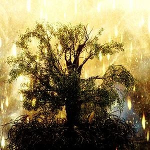 Foto La fuente de la vida