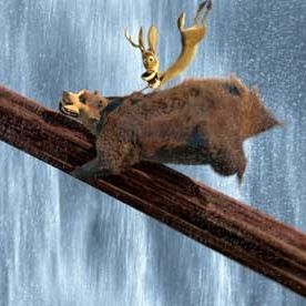 Foto Anthony Stacchi