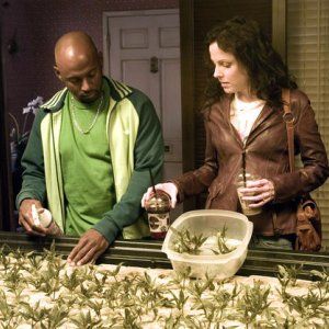 Foto Mary-Louise Parker