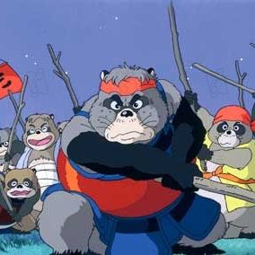 Foto La guerra de los mapaches