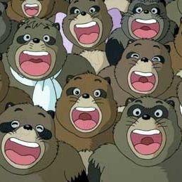 Foto La guerra de los mapaches