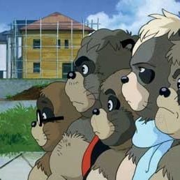 Foto La guerra de los mapaches