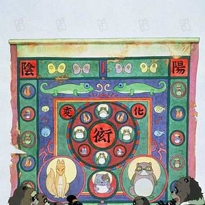 Foto La guerra de los mapaches