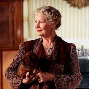 Foto Judi Dench
