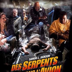 Foto Serpientes a bordo