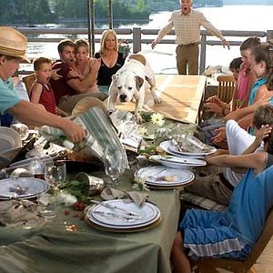 Foto Más barato por docena 2