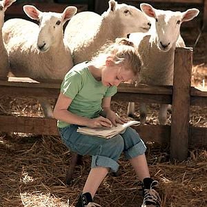 Foto La telaraña de Charlotte