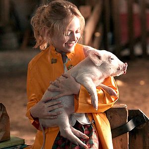 Foto La telaraña de Charlotte