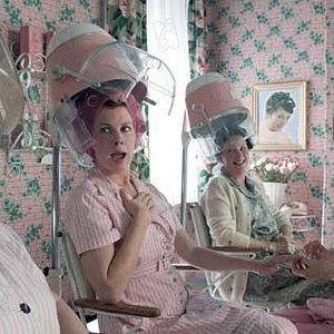 Foto La telaraña de Charlotte