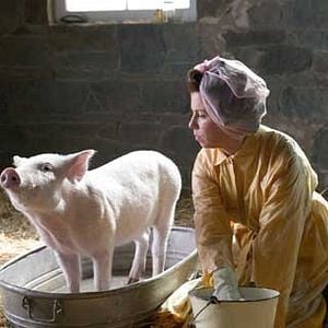 Foto La telaraña de Charlotte