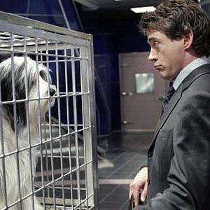 Foto Robert Downey Jr.