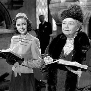 Foto Rosa de abolengo