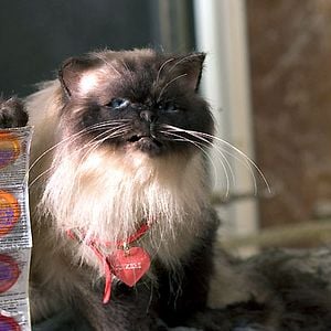 Foto No es otra tonta película de amor