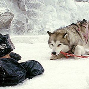 Foto Rescate en la Antártida