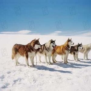 Foto Rescate en la Antártida