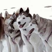 Foto Rescate en la Antártida