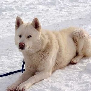 Foto Rescate en la Antártida