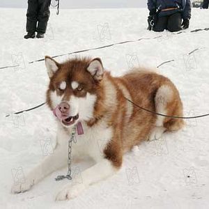 Foto Rescate en la Antártida