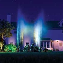 Foto Vecinos invasores