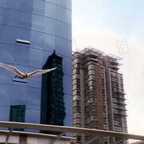 Foto X-Men: La decisión final