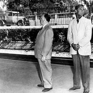 Foto To Catch A Thief