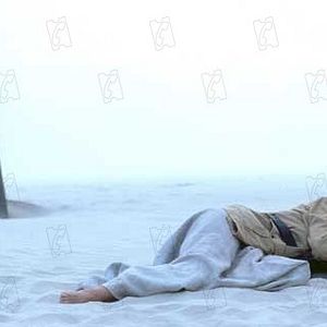 Foto Fernanda Torres