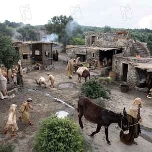Foto Catherine Hardwicke