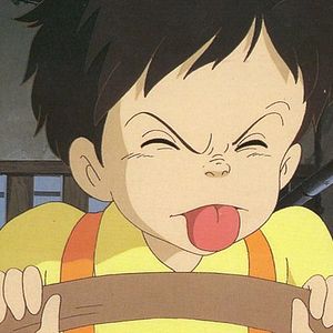 Foto Mi vecino Totoro