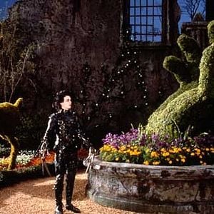 Foto El joven manos de tijera