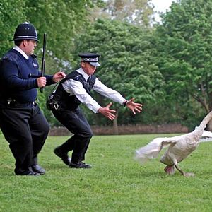 Foto Hot Fuzz: Super policías