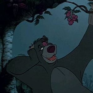 Foto El libro de la selva