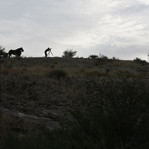 Foto Petróleo sangriento