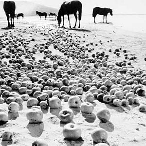 Foto La infancia de Iván