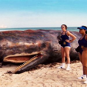 Foto Reno 911 : Miami