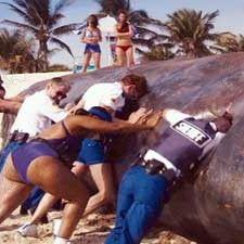 Foto Reno 911 : Miami