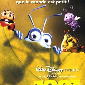 Foto Bichos, una aventura en miniatura