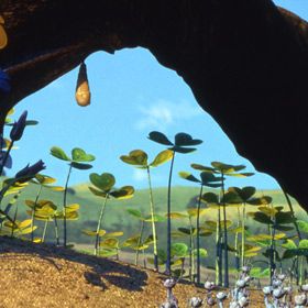 Foto Bichos, una aventura en miniatura