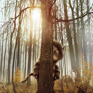 Foto Donde viven los monstruos